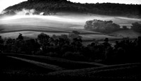 Fog In The Valley