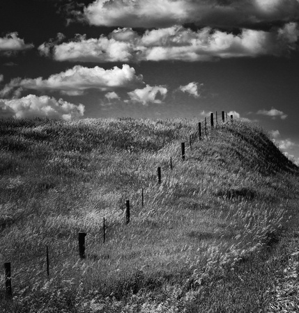 Fence Line