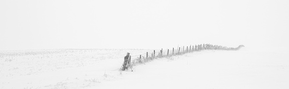 Winter Fence